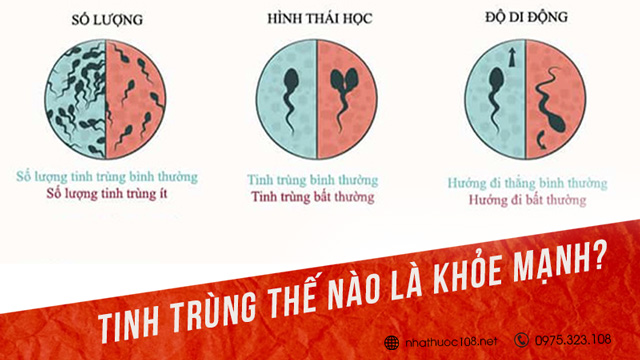 Xuất tinh sớm có ảnh hưởng đến chất lượng tinh trùng không?